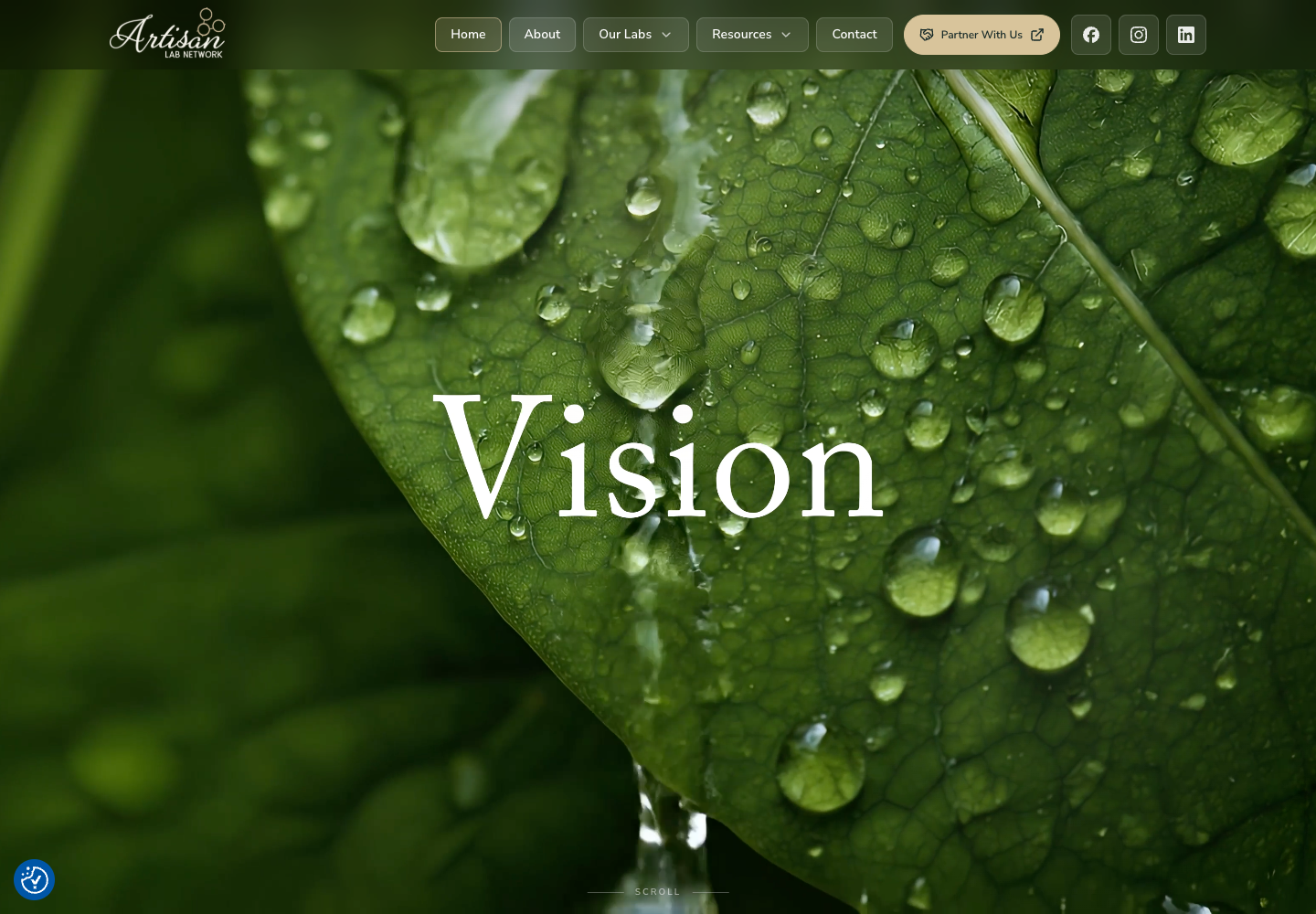 Artisan Lab Network website shown in a browser window
